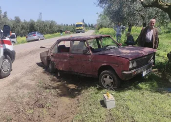Bursa’da otomobil zeytinliğe daldı