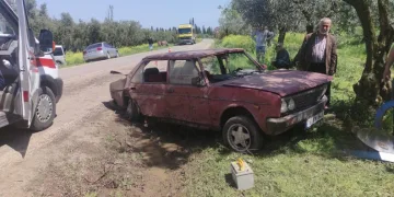 Bursa’da otomobil zeytinliğe daldı