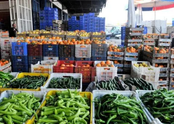 Savaşın Antalya ihracatına faturası ağır