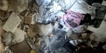 Bursa’da çöplerin arasında ölüme terk edildi