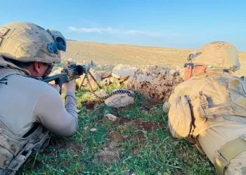 Mardin’de 569 personelin katılımıyla operasyon
