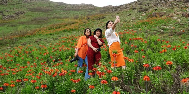 Ters laleler için dağa tırmandılar