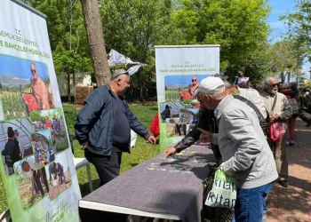 Bursa Gemlik’in ata tohumları Çanakkale’de