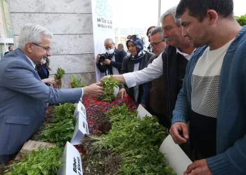 Nilüfer Belediyesi 4 günde 400 bin fide dağıtacak