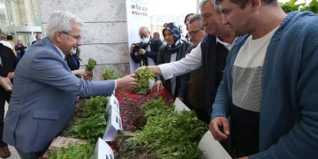 Nilüfer Belediyesi 4 günde 400 bin fide dağıtacak