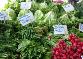 Bursa’da pazarlarda fiyatlar düştü mü?