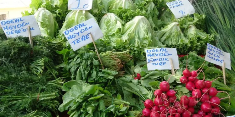 Bursa’da pazarlarda fiyatlar düştü mü?