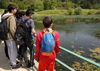 Bursa’da insanın doğaya verdiği zararı gördüler