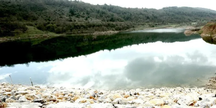 Yenişehir’de sulama sorunları mercek altında