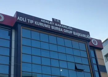 Bursa-Yalova sınırında çifte infaz