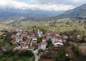 Evlenemeyen gençler muhtarın kapısını çaldı