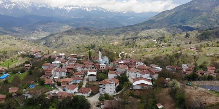Evlenemeyen gençler muhtarın kapısını çaldı