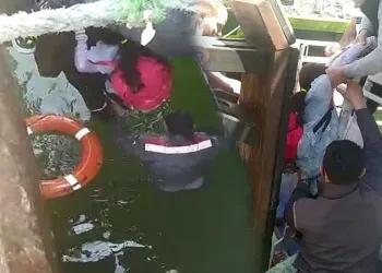 Bursa’da iskelede dolaşırken denize düştü