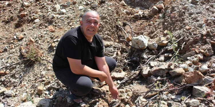 Fidan dikerken 20 yıl önce çalınan cüzdanı buldu