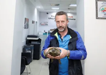 Trafikte mahsur kalmıştı! Belediye sahip çıktı