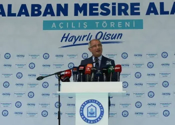AK Parti’li Efkan Ala: “Bir ülkenin cumhurbaşkanına ‘kaçacak’ demek, o ülkeye suikast düzenlemektir”