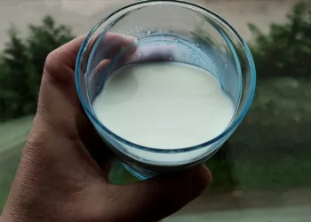 Bursa’da üretici taleplere yetişemiyor