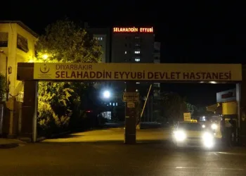 Diyarbakır’da kadın cinayeti! Bıçaklanarak öldürüldü