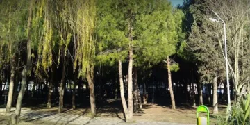 Emek Çamlık Parkı 3 Haziran’a kadar kapatılacak