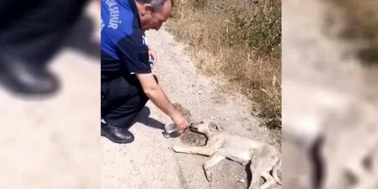 Bakan duyurdu! Destek ödemeleri başladı