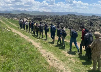 Van’da 15 düzensiz göçmen yakalandı