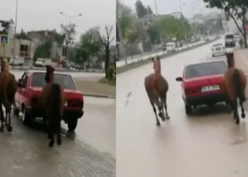 Bursa’da tepki çeken görüntü