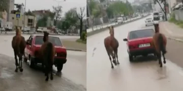 Bursa’da tepki çeken görüntü