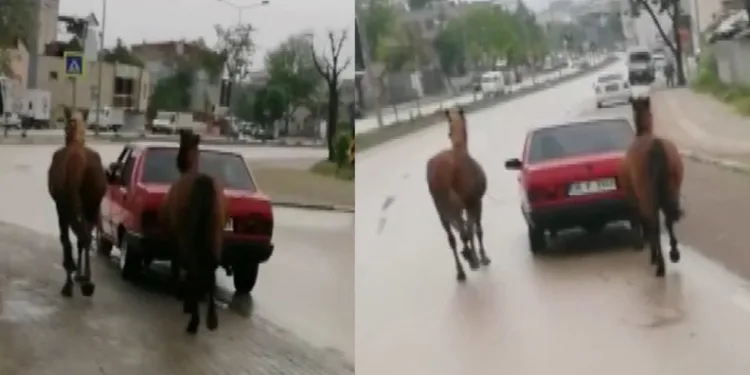 Bursa’da tepki çeken görüntü