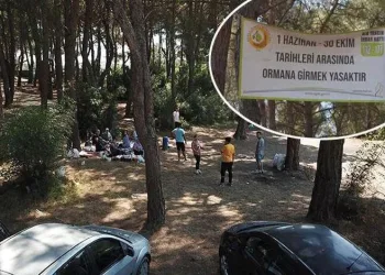 Bir ilde ormanlara girişler yasaklanıyor