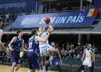 Final maçı için Bursa’da dev ekran kurulacak