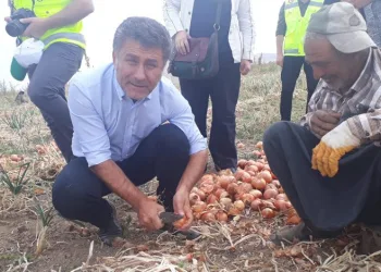 “Ucuz ürün için çiftçi desteklenmeli”