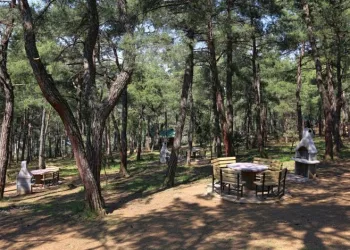 Bursa’da ormanlık alanlarla ilgili yasaklar açıklandı