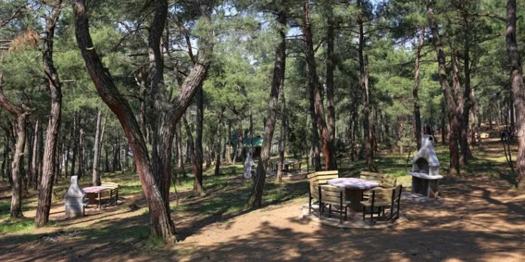Bursa’da ormanlık alanlarla ilgili yasaklar açıklandı