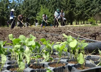 Bursa’dan gıda krizi için üretim çağrısı