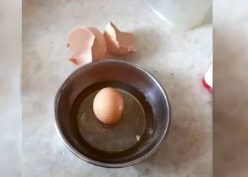 Yumurtadan yumurta çıktı