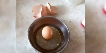 Yumurtadan yumurta çıktı