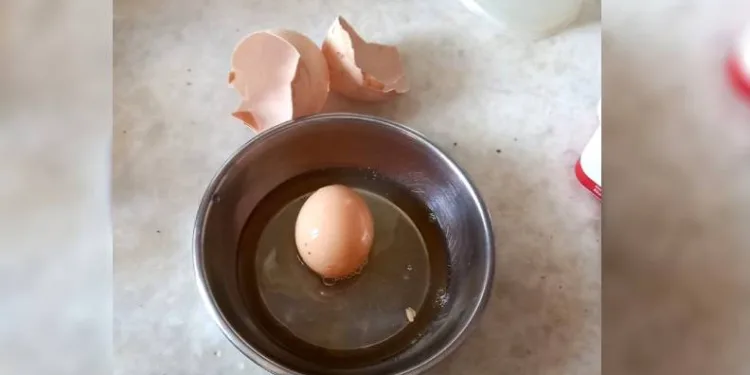 Yumurtadan yumurta çıktı