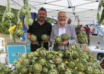 Bursa’da Enginar Festivali coşkusu