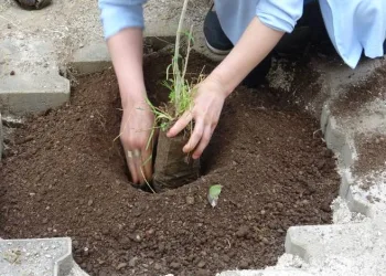 Bursa’da ”Geleceğe NefesiMSin” etkinliği