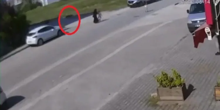Bursa’da köpekten kaçarken canından oluyordu
