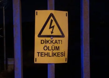 Trafoda akıma kapılarak can verdi