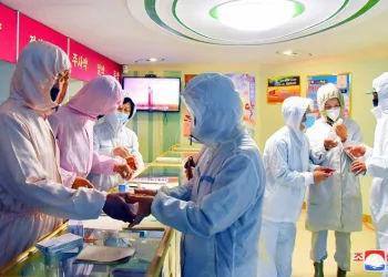Kuzey Kore’de Covid reçetesi: Bitki çayı ve tuzlu su