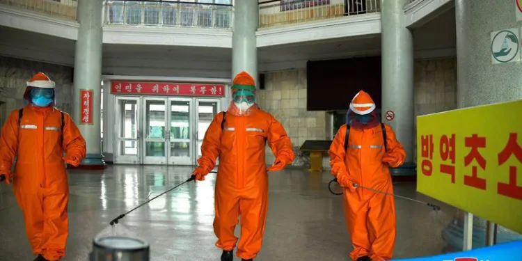 Kuzey Kore’de Covid reçetesi: Bitki çayı ve tuzlu su