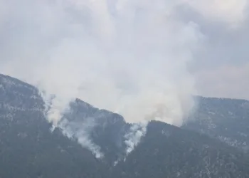 Antalya’da orman yangını