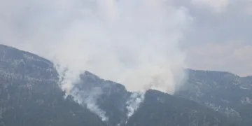 Antalya’da orman yangını