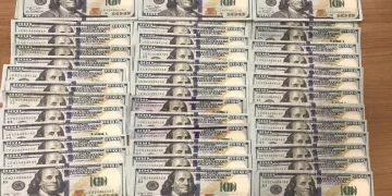 Sahte dolar operasyonunda 1 tutuklama