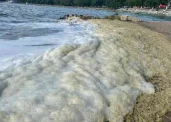 Bursa’da İznik Gölü’ne girmek yasaklandı