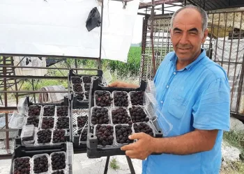 25 günde 300 bin TL kazanıyor