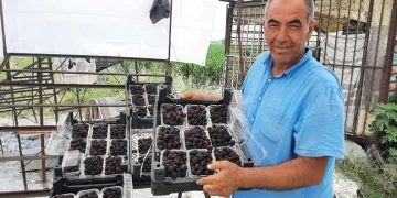 25 günde 300 bin TL kazanıyor