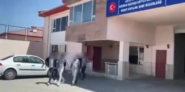 Van’da göçmen kaçakçılığı yapan organizatörler tutuklandı